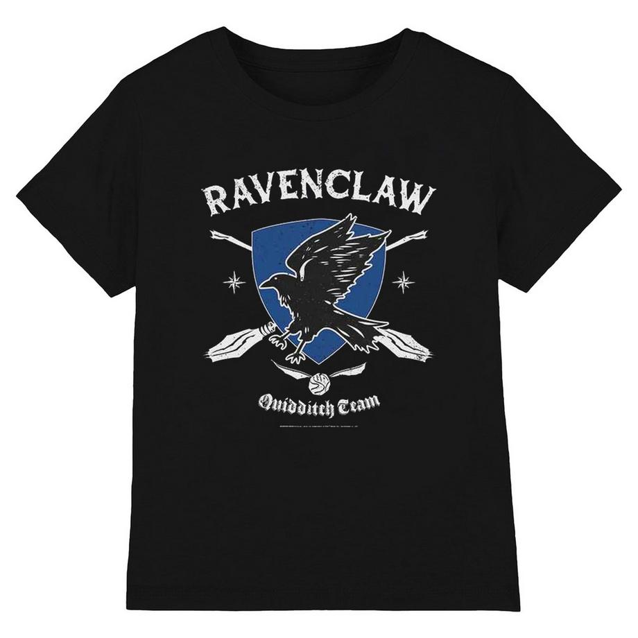Harry Potter Ravenclaw Quidditch Team T-Shirt  