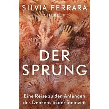 Der Sprung