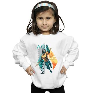 DC COMICS  Sweatshirt 