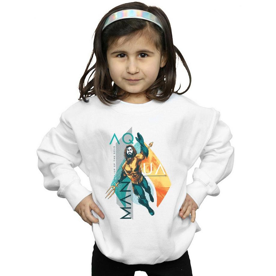 DC COMICS  Sweatshirt 