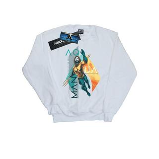 DC COMICS  Sweatshirt 