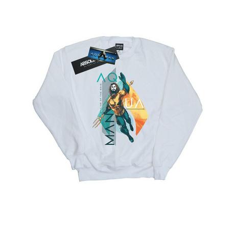 DC COMICS  Sweatshirt 