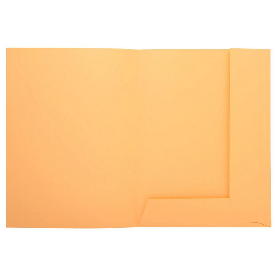 Exacompta Confezione da 50 cartelle stampate 2 alette SUPER 210 - 24x32cm - x 5  