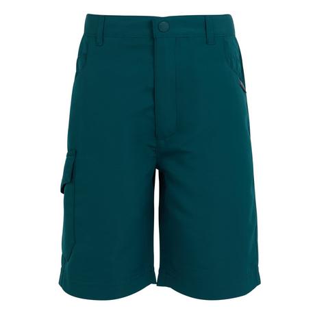 Regatta  Sorcer II Shorts 