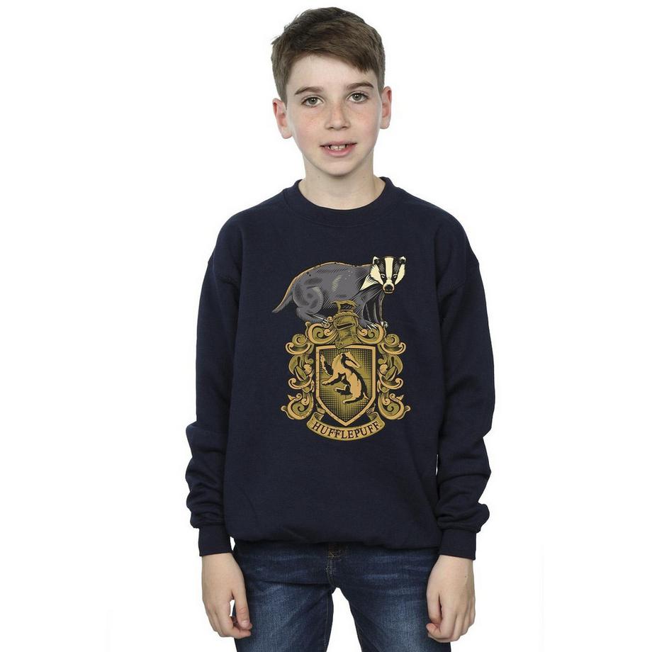 HARRY-POTTER  Sweat HUFFLEPUFF 