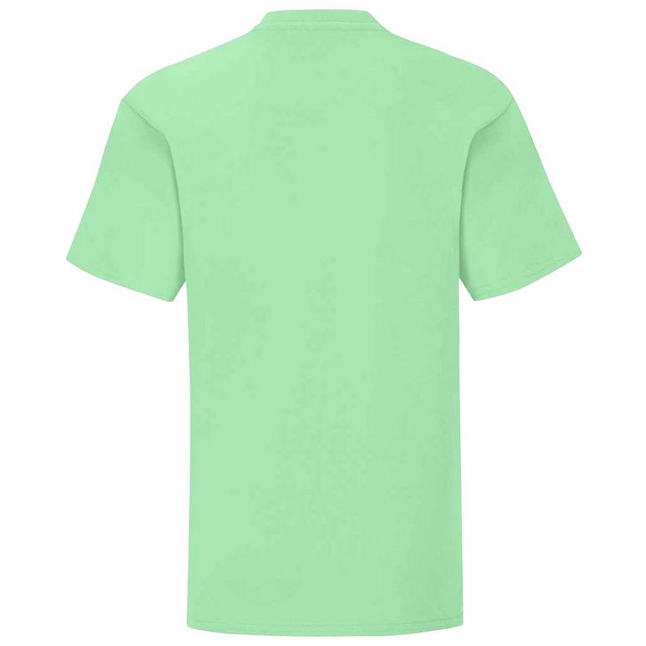 Fruit of the Loom  Iconic TShirt 