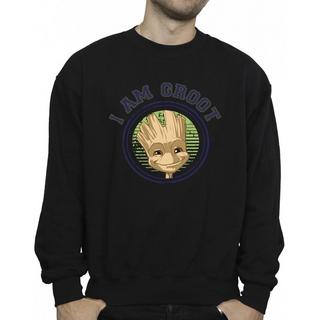 Guardians Of The Galaxy  Sweatshirt 