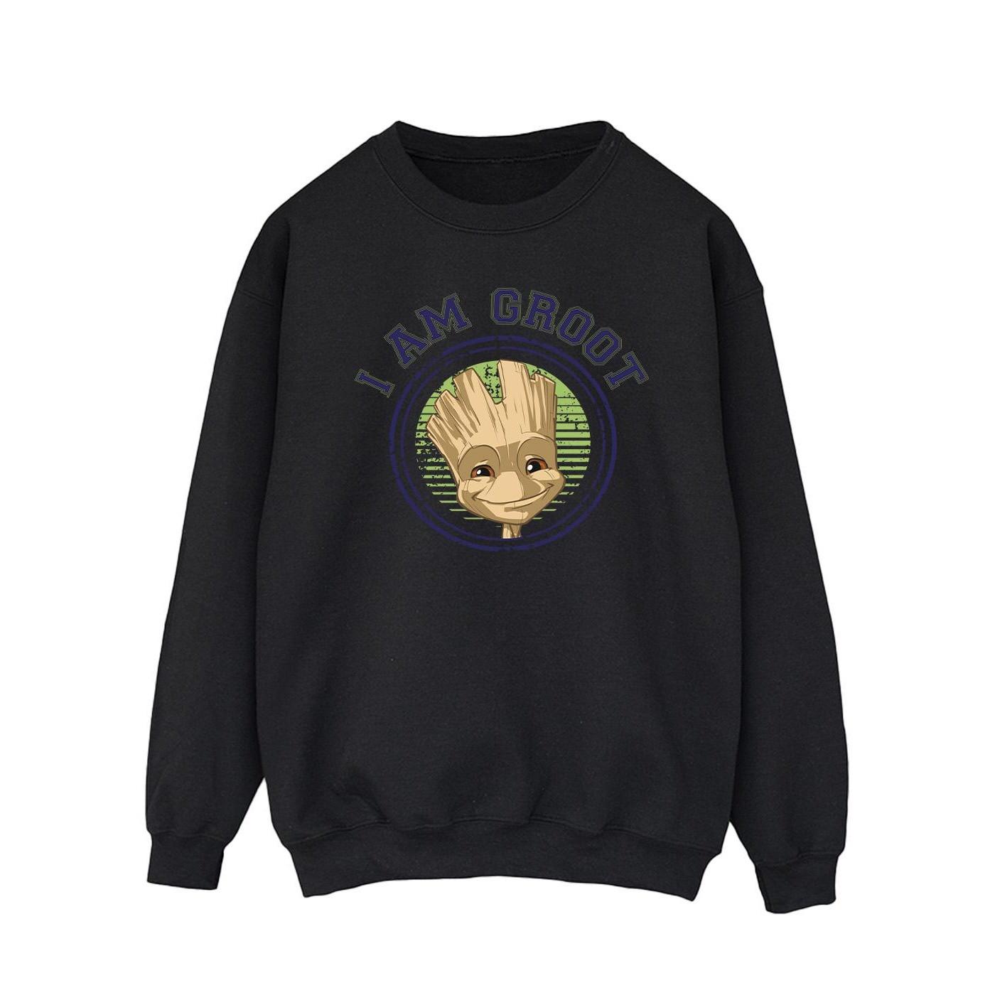 Guardians Of The Galaxy  Sweatshirt 