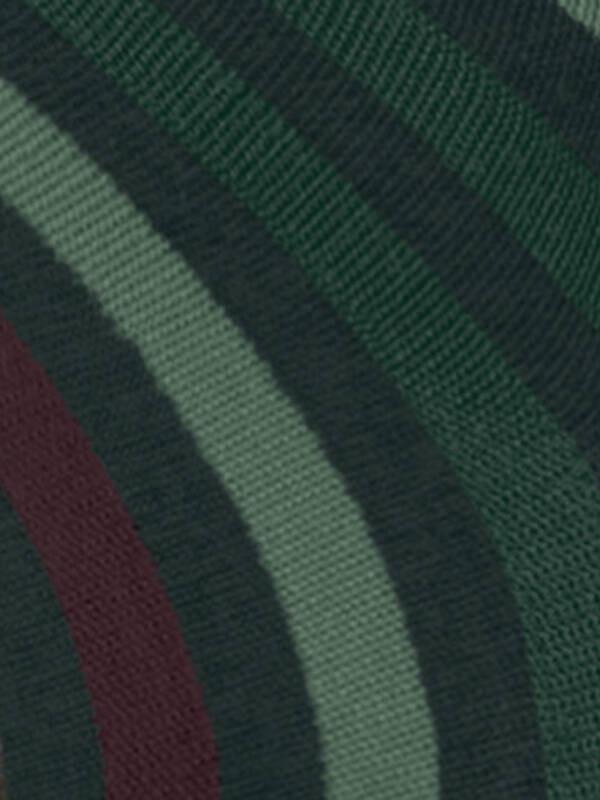 FALKE Tinted Stripe Calze  