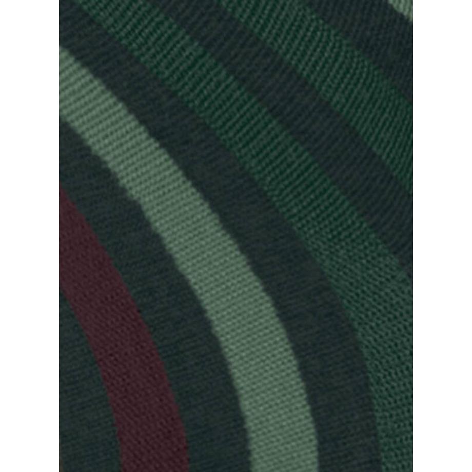 FALKE Tinted Stripe Calze  