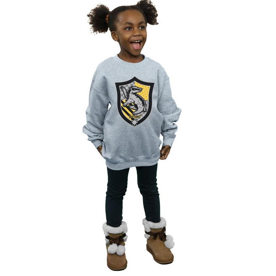 Harry Potter  Hufflepuff Sweatshirt 