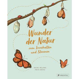 Wunder der Natur zum Innehalten und Staunen Williams, Rachel; Hartas, Freya; Hartas, Freya (Illustrationen); Köller, Kathrin (Übersetzung) Copertina rigida 