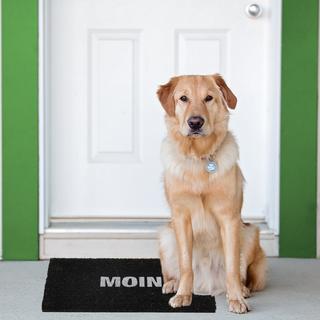 Northio Zerbino in fibra di cocco "Moin"  