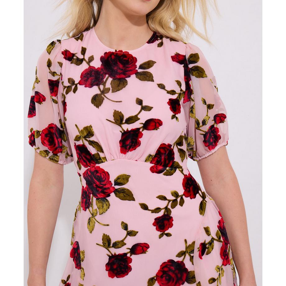 Joe Browns Abito Mini Devore Rose  