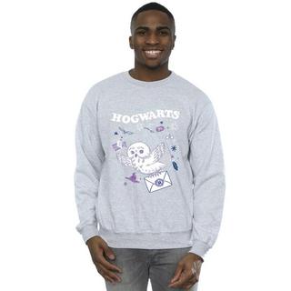 Harry Potter Letter From Hogwarts Sweatshirt  