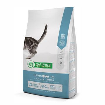 Kitten mit Geflügel