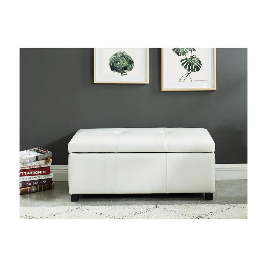 Vente-unique Sitzbank Sitztruhe Kunstleder FILIPPO  