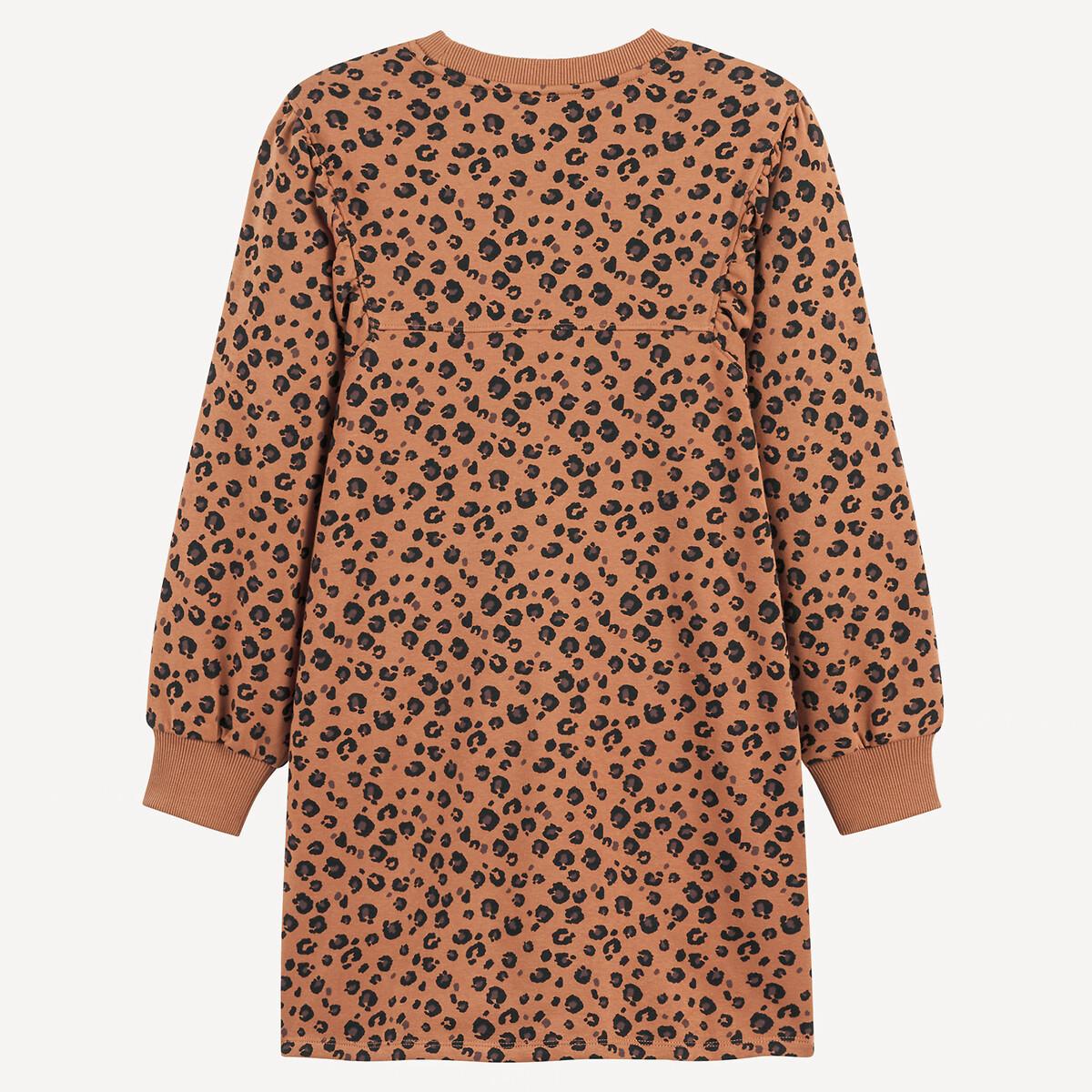 La Redoute Collections  Robe pull manches longues 