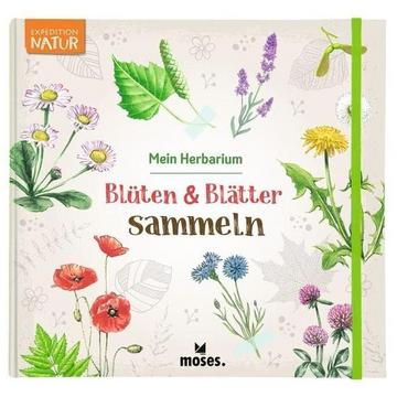 Blüten & Blätter sammeln