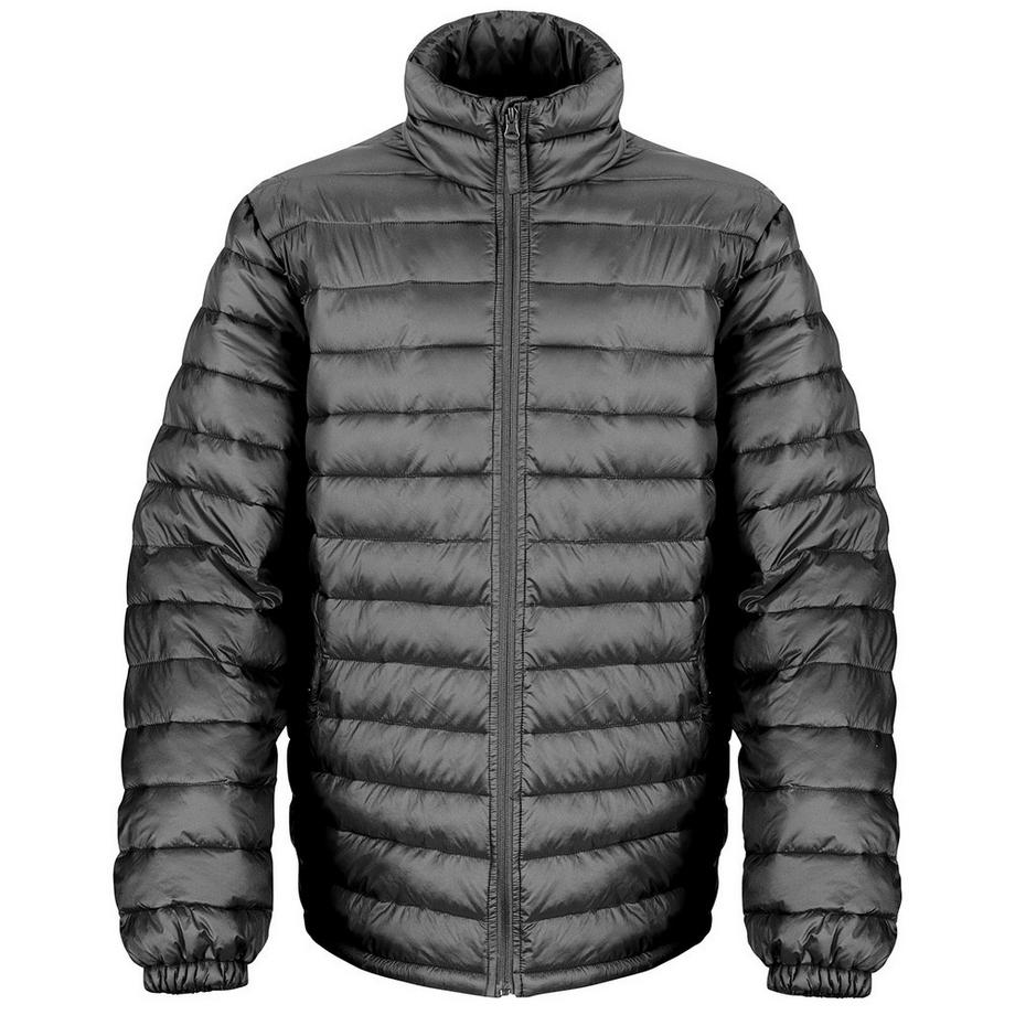 Veste Matelassée Ice Bird