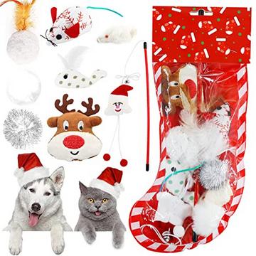 Ensemble de jouets pour chat 10 pièces, jouet interactif balle pour chat jouet souris jouet baguette teaser pour chat