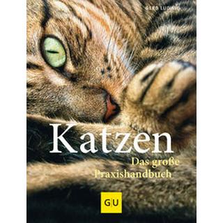 Praxishandbuch Katzen Ludwig, Gerd Couverture rigide 