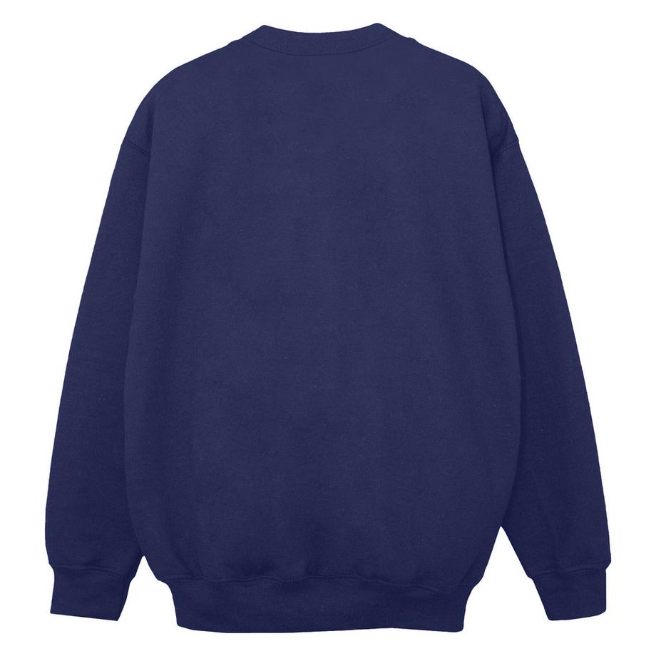 MARVEL Spidey And His Amazing Friends Neighbourhood Sweatshirt  