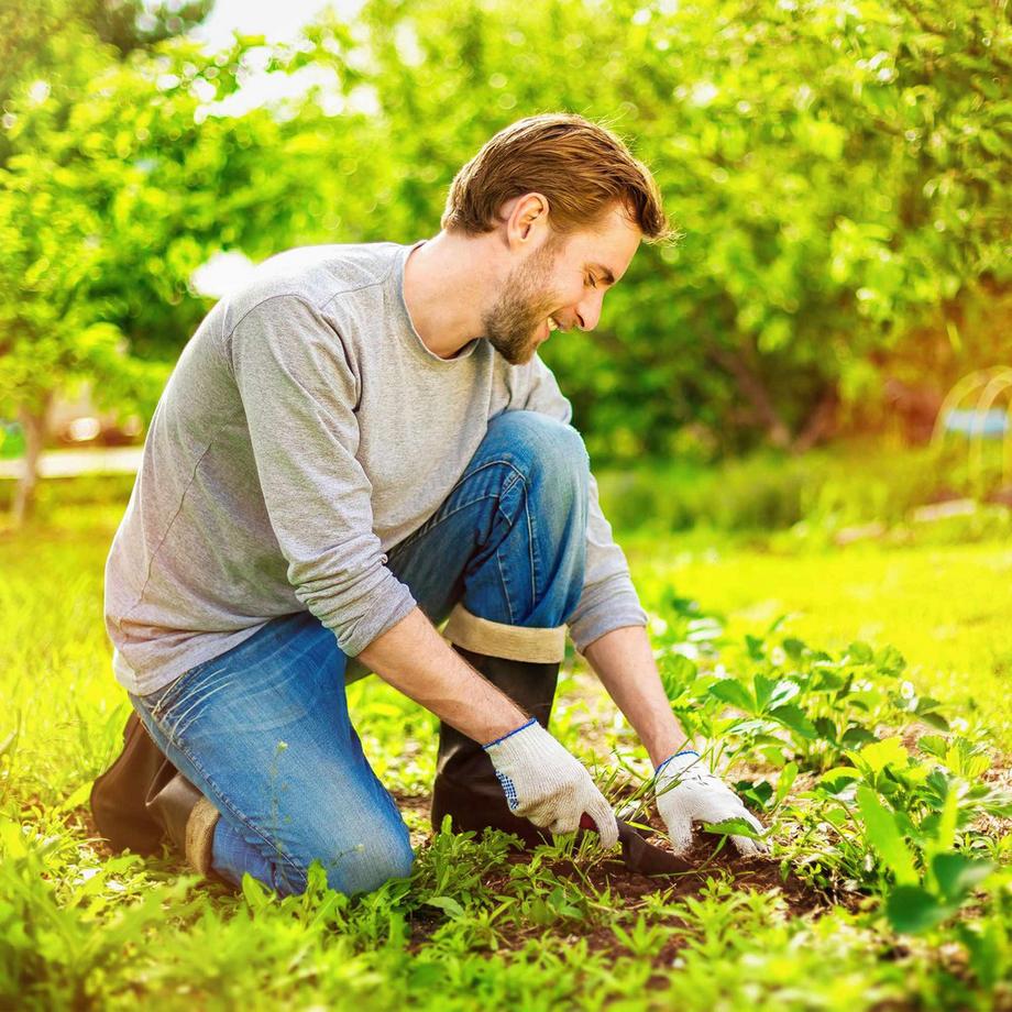 B2X  Toile anti-mauvaises herbes 150 g/m² 