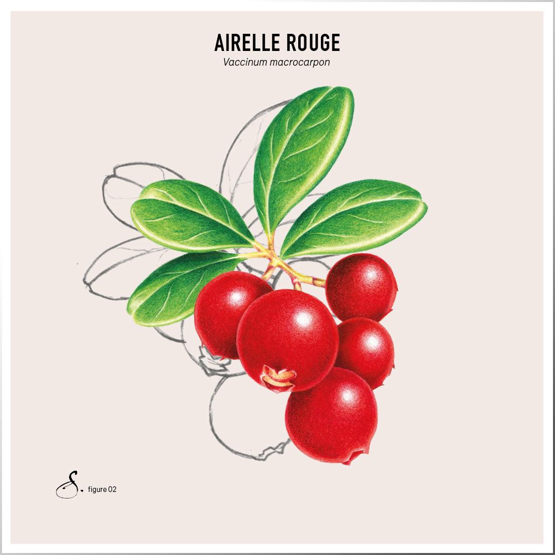 Sekoya Swiss  Cranberry | D-Mannose | Gegen Harnwegsinfektionen 