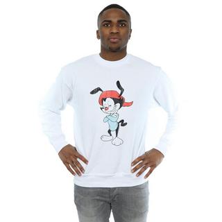 Animaniacs  Sweat 