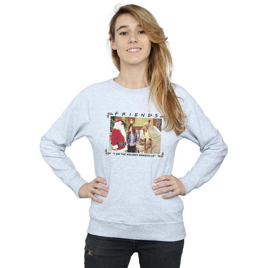 Friends The Holiday Armadillo Sweatshirt  