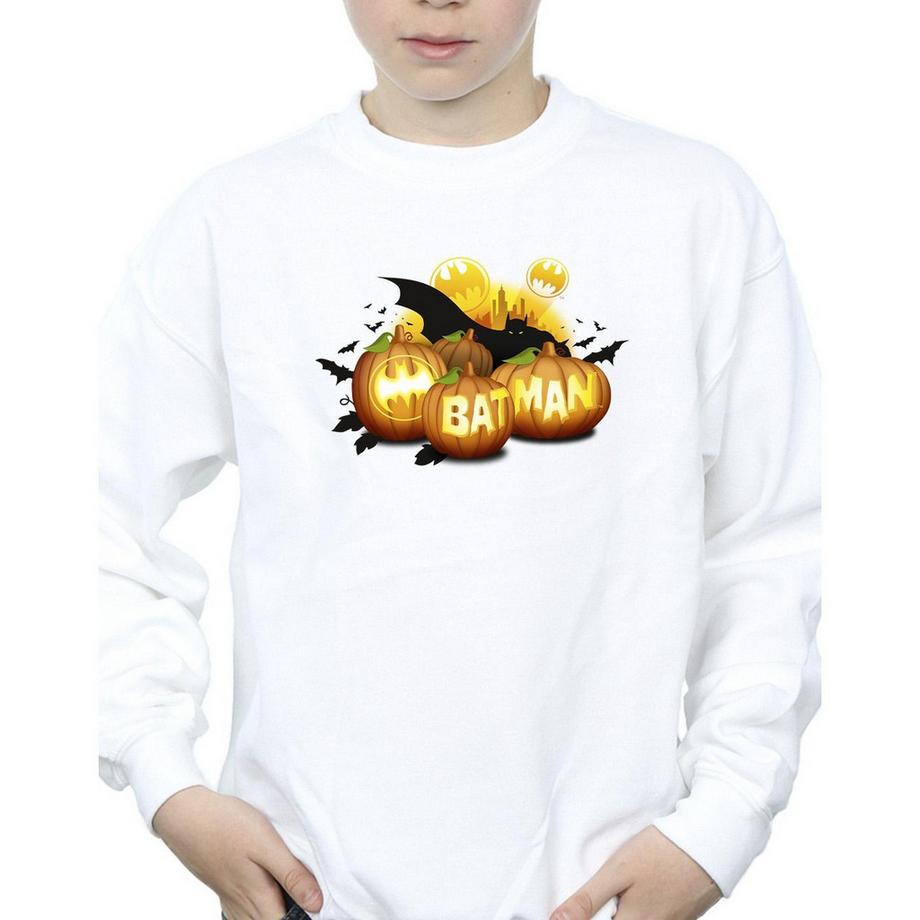 DC COMICS  Sweatshirt 