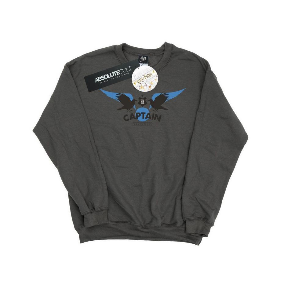 Harry Potter  Ravenclaw Sweatshirt 