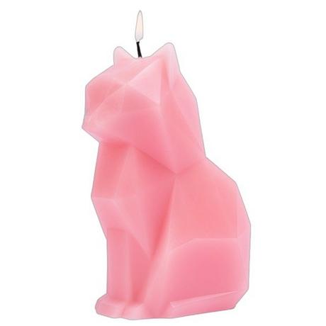 PyroPet PyroPet Kisa  