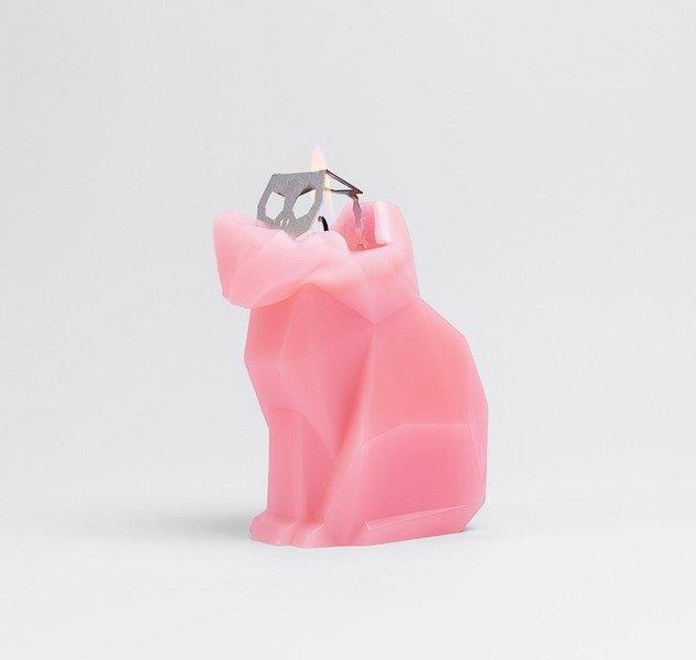 PyroPet PyroPet Kisa  