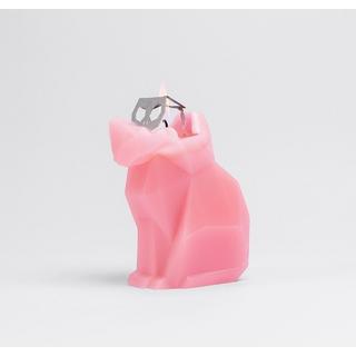 PyroPet PyroPet Kisa  