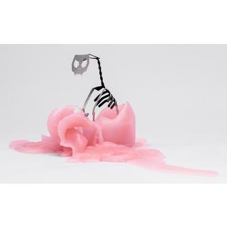 PyroPet PyroPet Kisa  