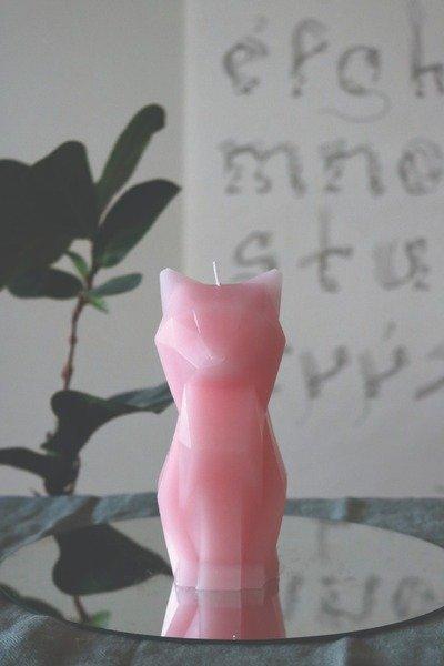 PyroPet PyroPet Kisa  