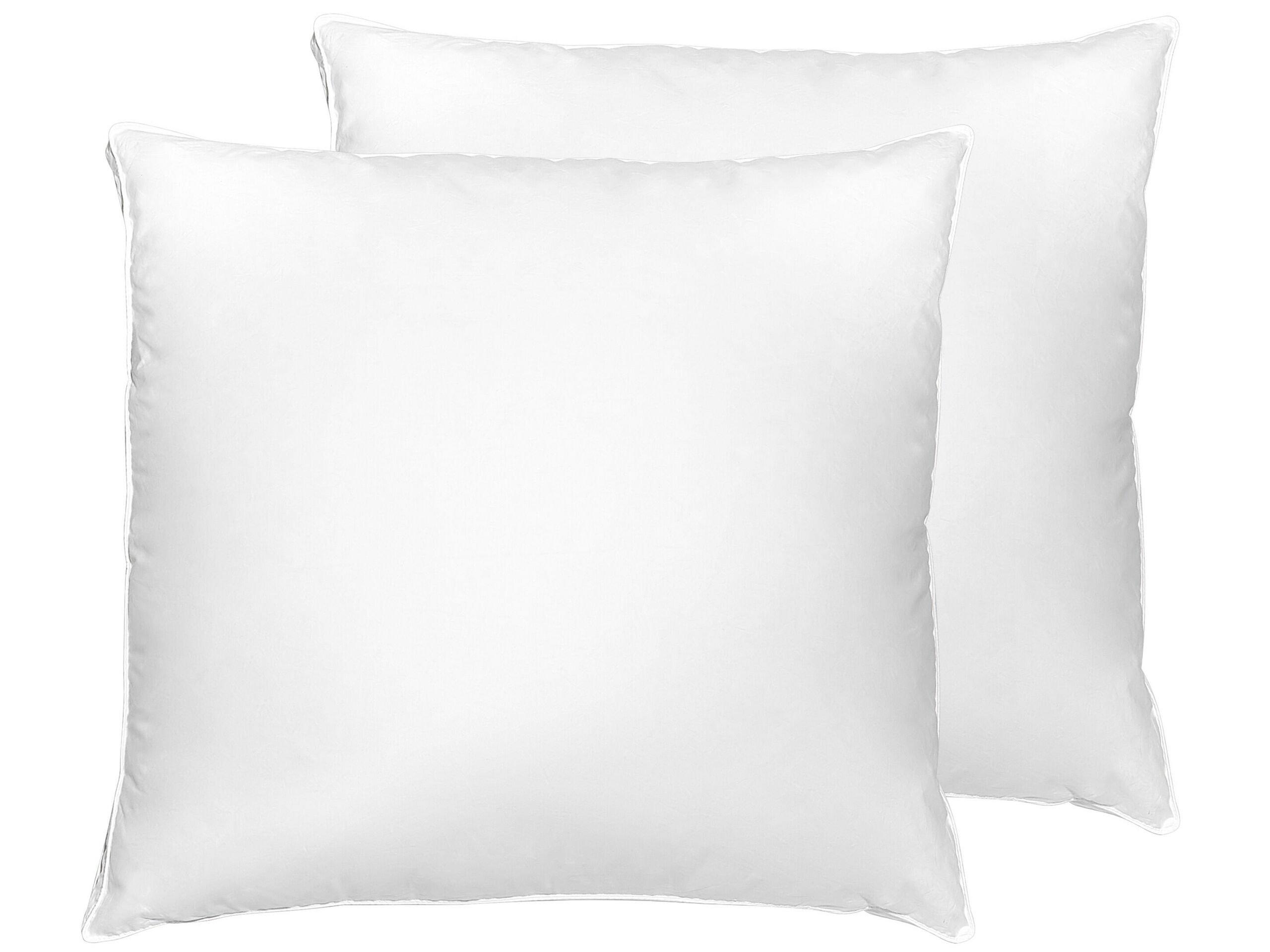 Lot de 2 oreillers en plumes et duvet de canard 80 x 80 cm KARIJANG 