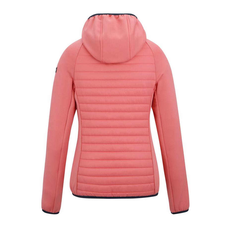 Regatta Veste Hybride Anderson avec Capuche  