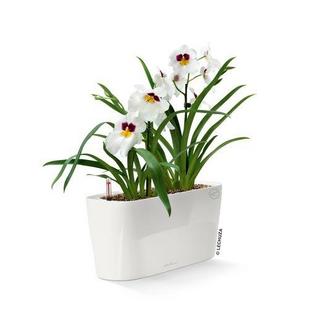 Lechuza DELTA all-in-one  