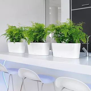 Lechuza DELTA all-in-one  