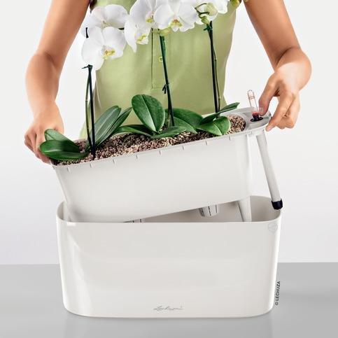 Lechuza DELTA all-in-one  