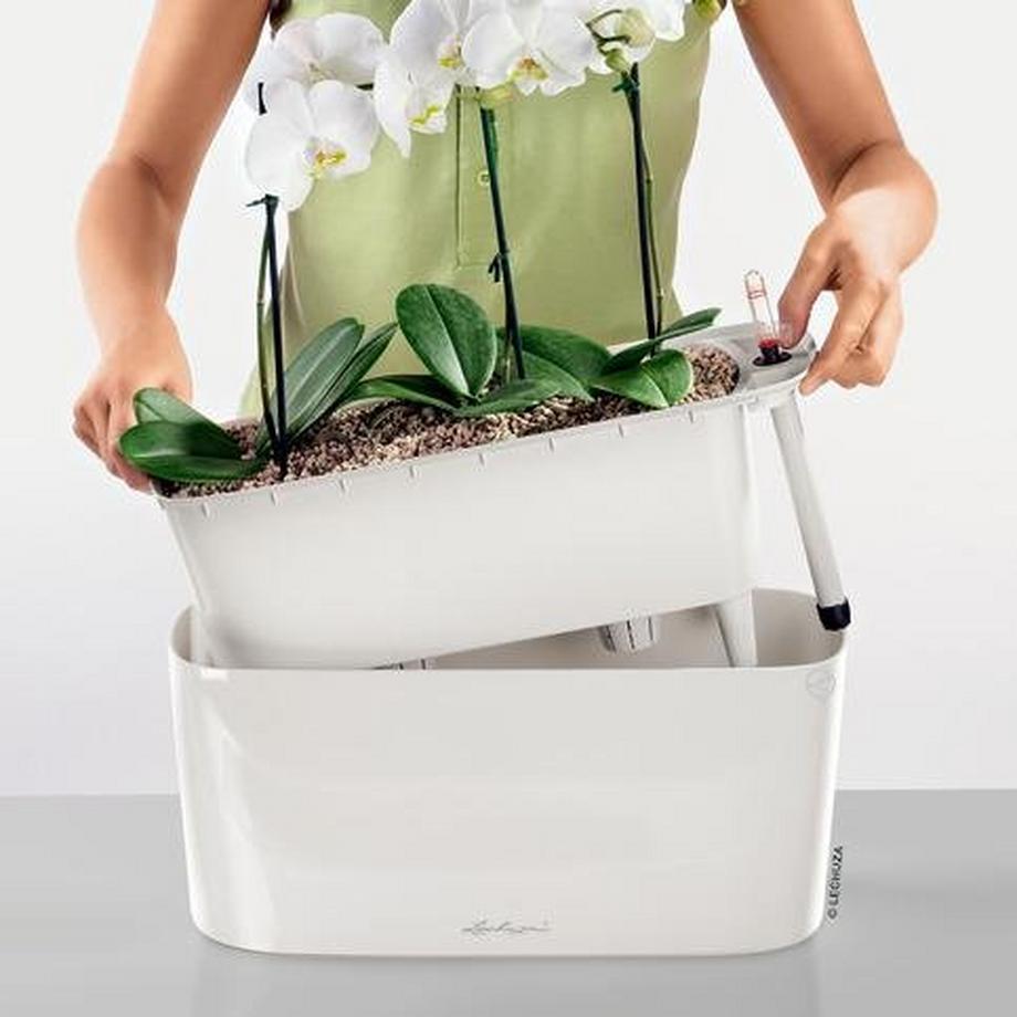 Lechuza DELTA all-in-one  