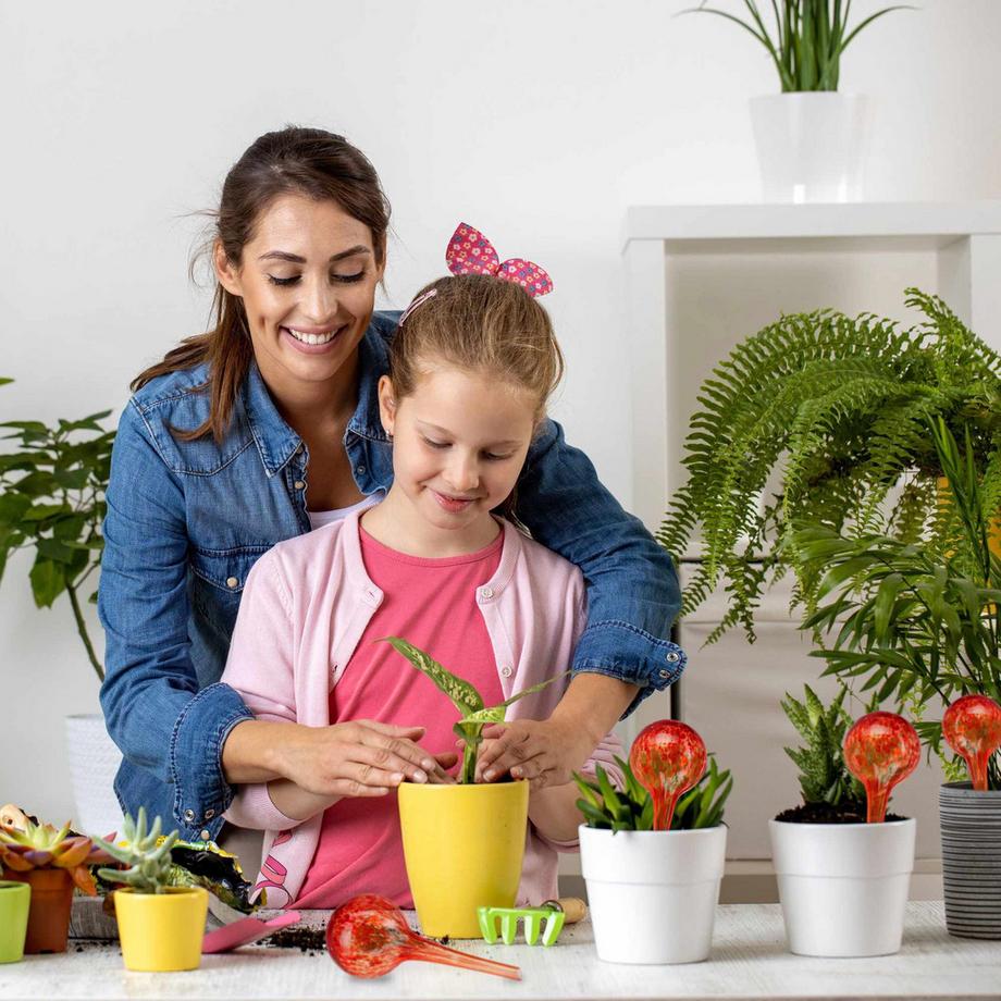 B2X  Glas-Wasserkugeln im 4er-Set 