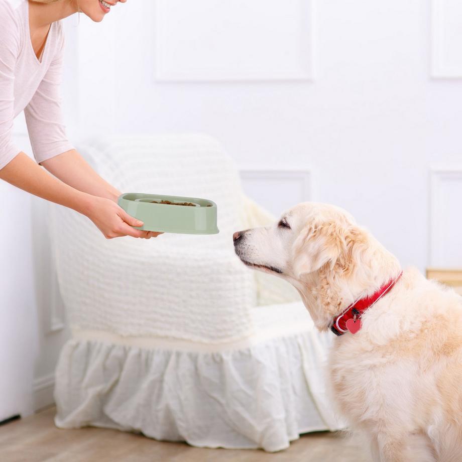 B2X  Anti-Schlingschüssel 800 ml 