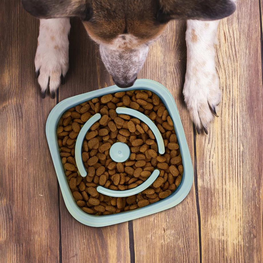 B2X  Anti-Schlingschüssel 800 ml 