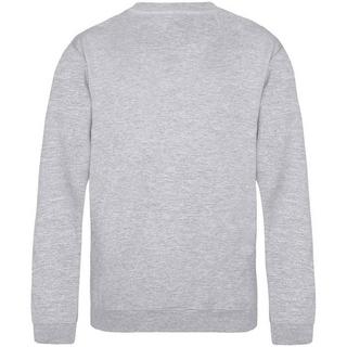 AWDis  Sweatshirt 
