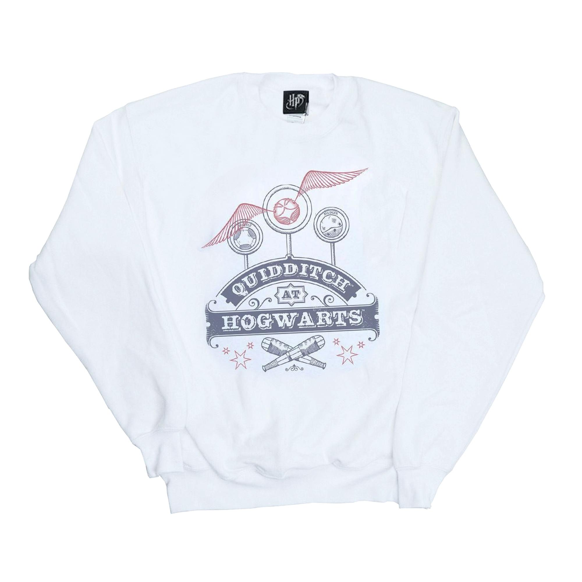 Harry Potter Quidditch At Hogwarts Sweatshirt  