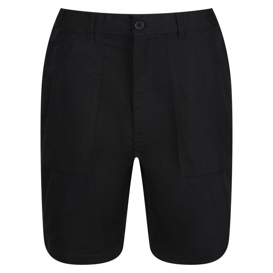 Regatta  Shorts 